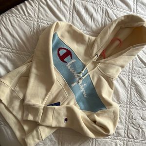 NWT Champion hoodie
